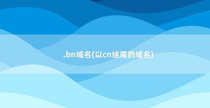 .bn域名(以cn结尾的域名)