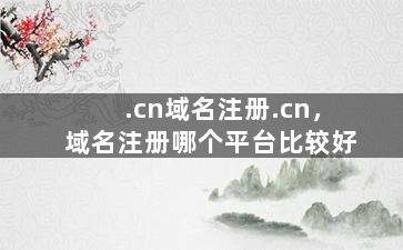 .cn域名注册.cn，域名注册哪个平台比较好