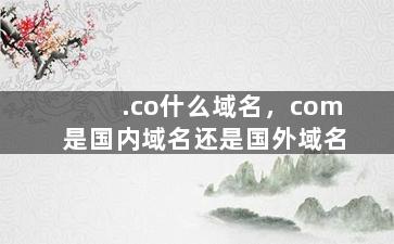 .co什么域名，com是国内域名还是国外域名