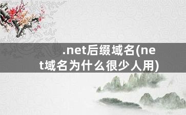 .net后缀域名(net域名为什么很少人用)