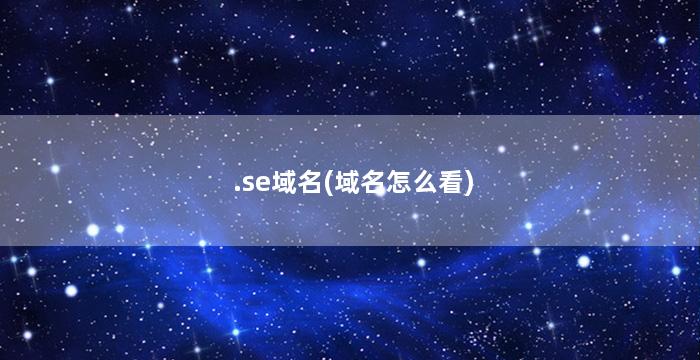 .se域名(域名怎么看)