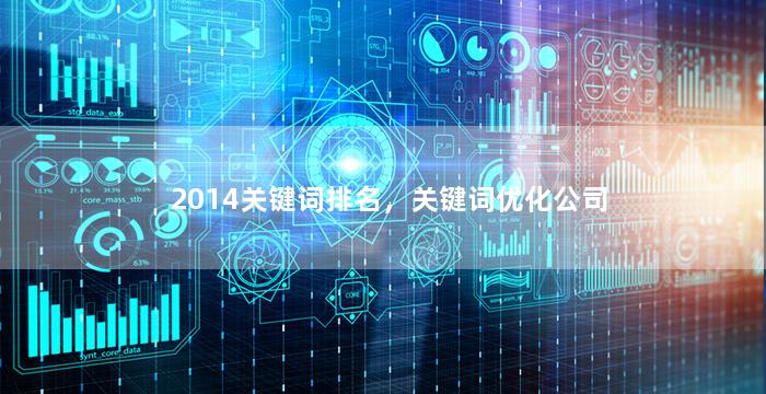 2014关键词排名，关键词优化公司
