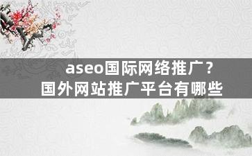 aseo国际网络推广？国外网站推广平台有哪些