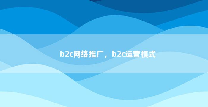 b2c网络推广，b2c运营模式