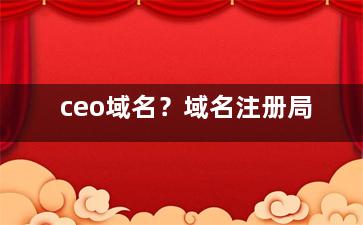ceo域名？域名注册局