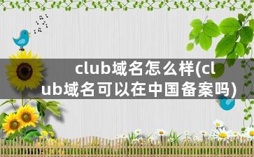 club域名怎么样(club域名可以在中国备案吗)