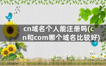 cn域名个人能注册吗(cn和com哪个域名比较好)