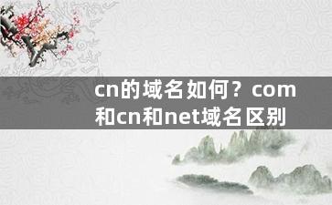 cn的域名如何？com和cn和net域名区别