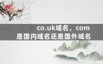 co.uk域名，com是国内域名还是国外域名