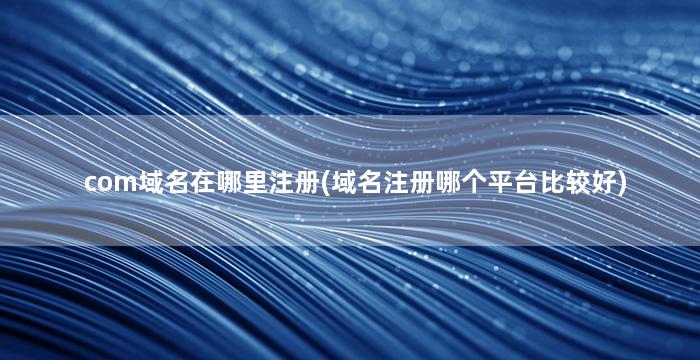 com域名在哪里注册(域名注册哪个平台比较好)
