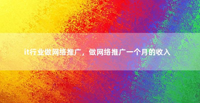 it行业做网络推广，做网络推广一个月的收入
