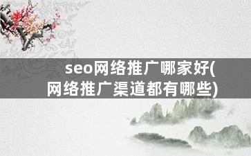 seo网络推广哪家好(网络推广渠道都有哪些)
