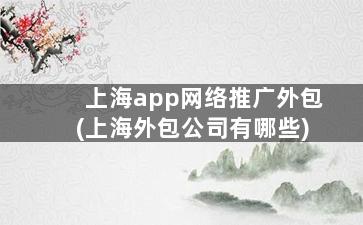 上海app网络推广外包(上海外包公司有哪些)