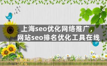 上海seo优化网络推广，网站seo排名优化工具在线