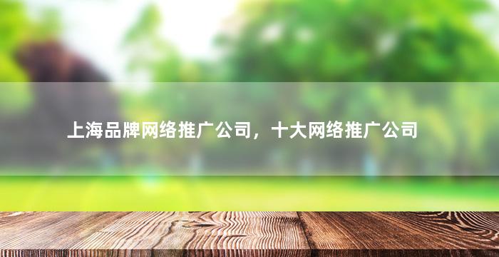 上海品牌网络推广公司，十大网络推广公司