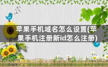 苹果手机域名怎么设置(苹果手机注册新id怎么注册)