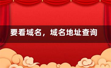 要看域名，域名地址查询