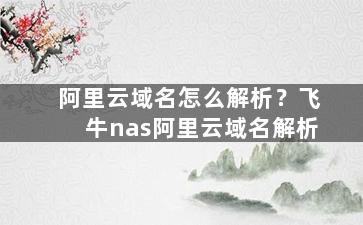 阿里云域名怎么解析？飞牛nas阿里云域名解析