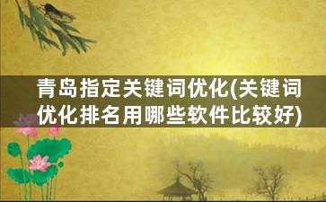 青岛指定关键词优化(关键词优化排名用哪些软件比较好)