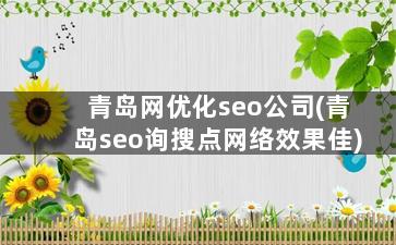 青岛网优化seo公司(青岛seo询搜点网络效果佳)