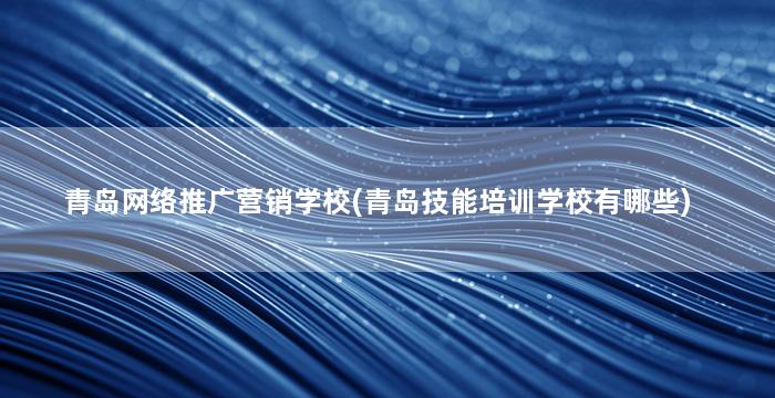 青岛网络推广营销学校(青岛技能培训学校有哪些)