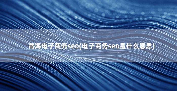 青海电子商务seo(电子商务seo是什么意思)