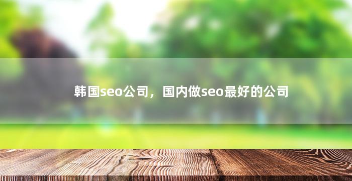 韩国seo公司，国内做seo最好的公司