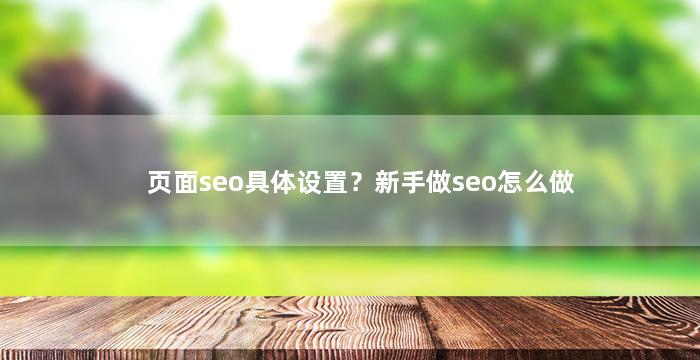 页面seo具体设置？新手做seo怎么做