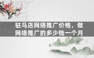 驻马店网络推广价格，做网络推广的多少钱一个月