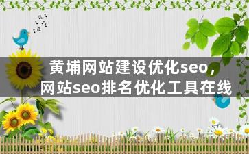 黄埔网站建设优化seo，网站seo排名优化工具在线