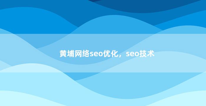 黄埔网络seo优化，seo技术