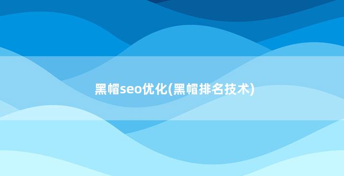 黑帽seo优化(黑帽排名技术)