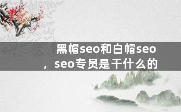 黑帽seo和白帽seo，seo专员是干什么的