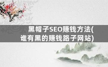 黑帽子SEO赚钱方法(谁有黑的赚钱路子网站)