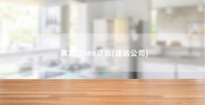 黑龙江seo建站(建站公司)