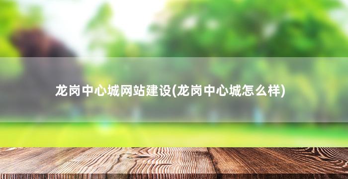 龙岗中心城网站建设(龙岗中心城怎么样)